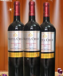 ruou-vang-chile-santa-cruz