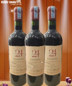 vang-chile-ocho-24
