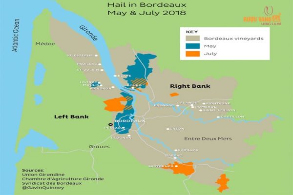 Phân định bờ trái và phải rượu vang Pháp Bordeaux bở-phải-và-trái-rượu-vang-pháp-bordeaux