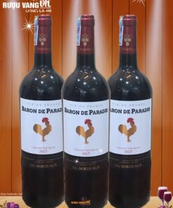 vang-Baron-De-Paradis