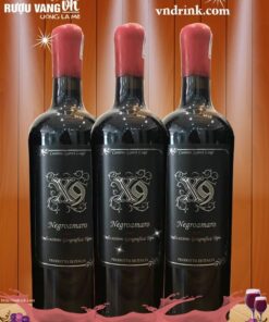 X9 Negroamaro